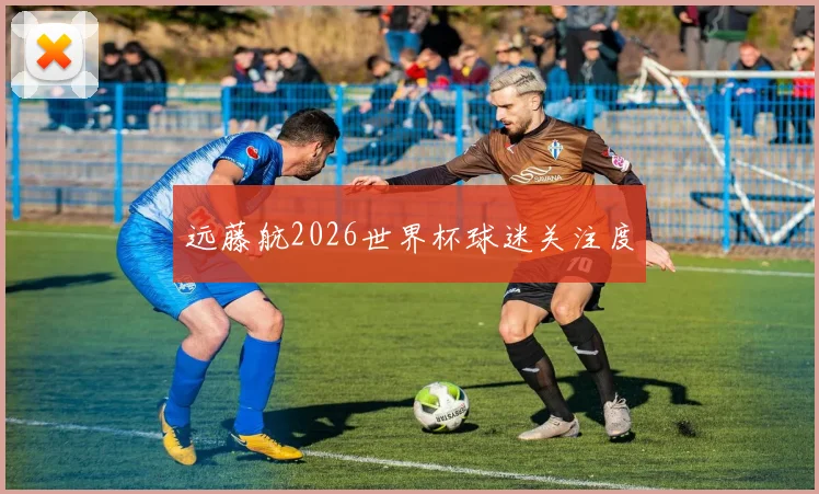 远藤航2026世界杯球迷关注度