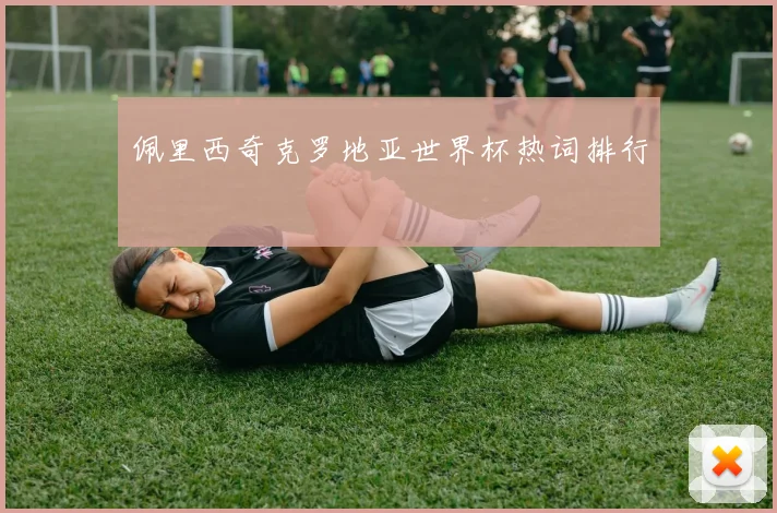 佩里西奇克罗地亚世界杯热词排行