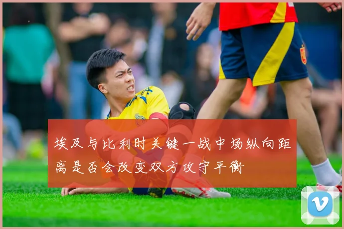 埃及与比利时关键一战中场纵向距离是否会改变双方攻守平衡