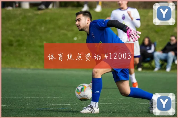 本坦库尔对阵西班牙队小组赛禁区跑位走势研判